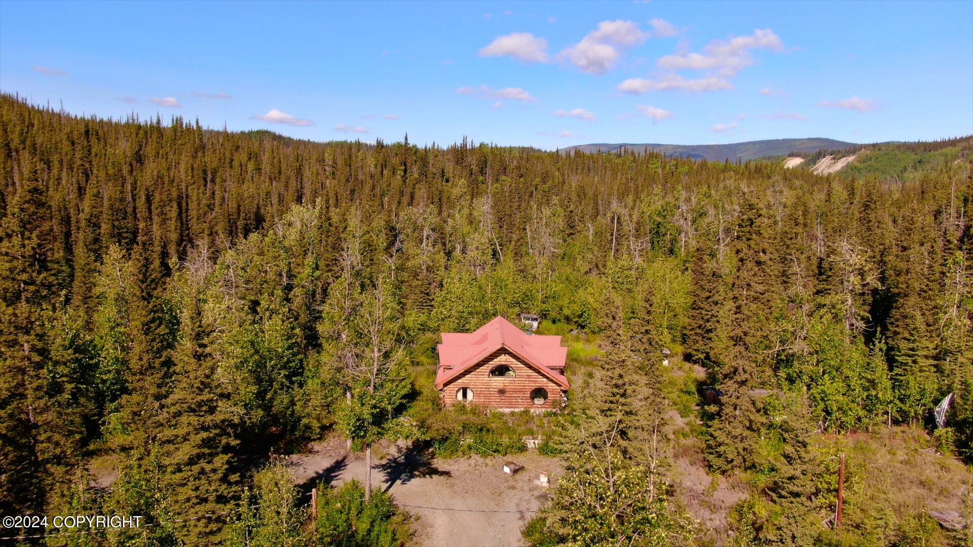 Mi 79.5 Richardson Highway, Copper Center, Alaska image 4