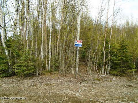 Vacant Land For Sale - L1 W Shearwater Street<br/> Wasilla, AK 99623