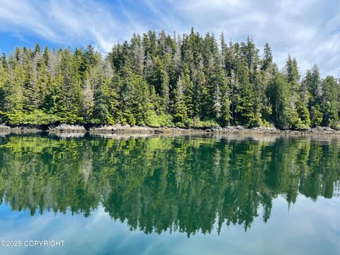 Photo of L2B1 Waterfront Port Protection, Port Protection, AK 99927 (MLS # 25-14931)