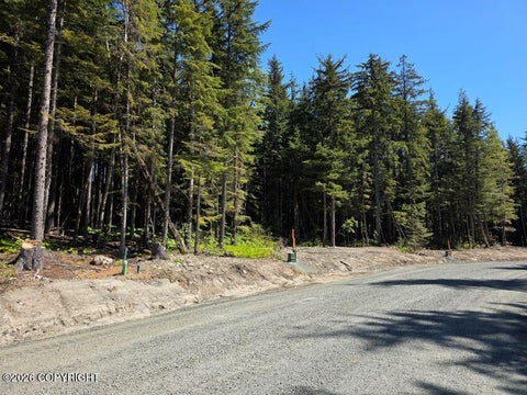 Photo of Lot 35 Martin Avenue, Haines, AK 99827 (MLS # 26-12179)