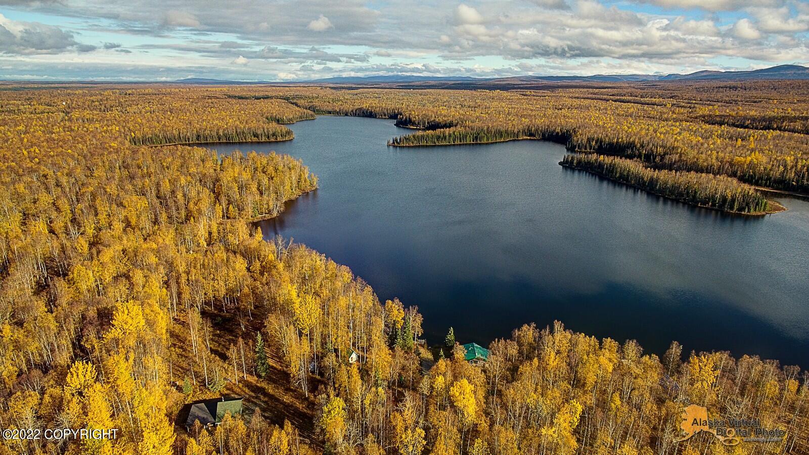 46368 S Fishermans Hop Road, Willow, Alaska image 43
