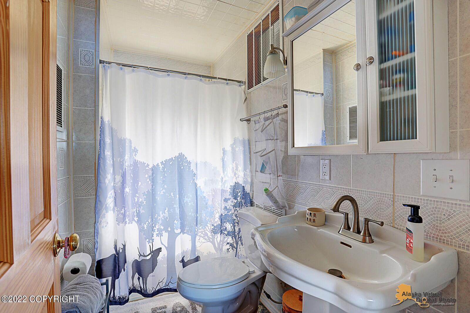 46368 S Fishermans Hop Road, Willow, Alaska image 21