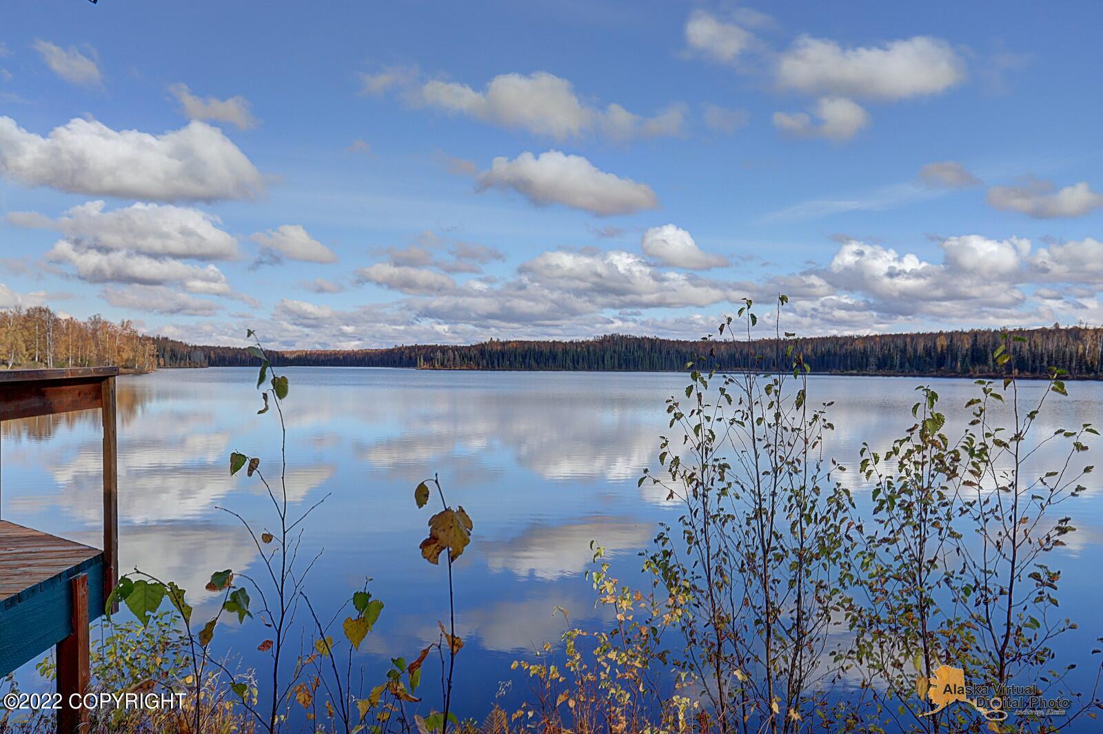 46368 S Fishermans Hop Road, Willow, Alaska image 1