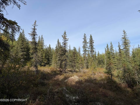 Vacant Land For Sale - 33700 Seward Highway<br/> Moose Pass, AK 99631