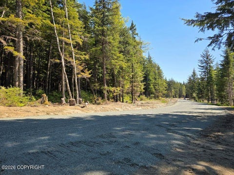 Photo of Lot 28A Martin Avenue, Haines, AK 99827 (MLS # 26-12173)
