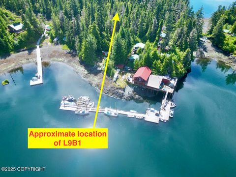 Photo of L9B1 Port Protection, Port Protection, AK 99927 (MLS # 25-14973)