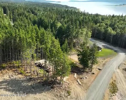 Photo of Lot 54 Cordes Drive, Haines, AK 99827 (MLS # 26-12164)