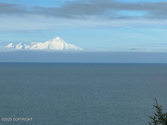 Ninilchik, Alaska 99639, United States, 6 Bedrooms Bedrooms, ,4 BathroomsBathrooms,Residential,Active,152173