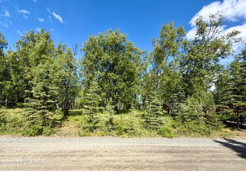 Vacant Land For Sale - 125 & 129 Judy Lane<br/> Soldotna, AK 99669
