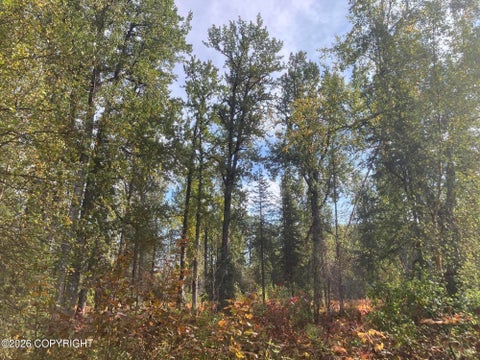 Photo of NHN Chase Rd, Talkeetna, AK 99676 (MLS # 26-12859)