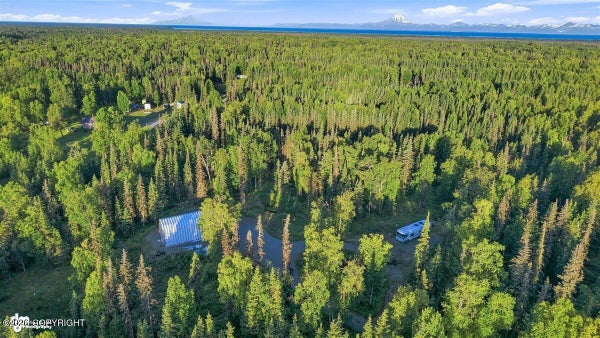 29927 COVENANTS CIR, SOLDOTNA, AK 99669 - Image 5b4faf1fc337d069ba1dd9e24660e802/321012748