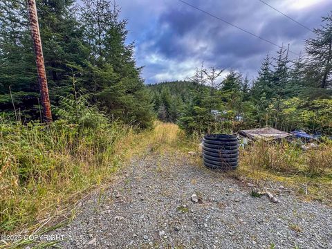 L-14  B-10 South Thorne Bay Road Thorne Bay AK 99919