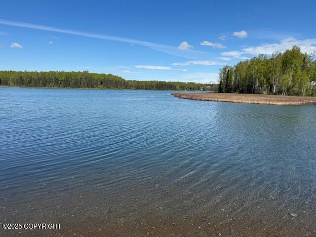 16525 E Nichols Drive, Talkeetna, Alaska image 1