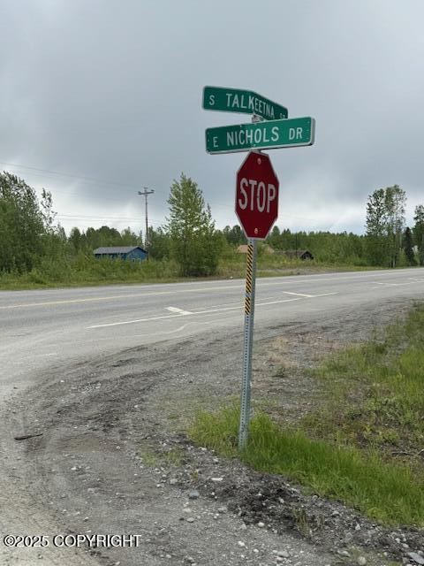 16525 E Nichols Drive, Talkeetna, Alaska image 2