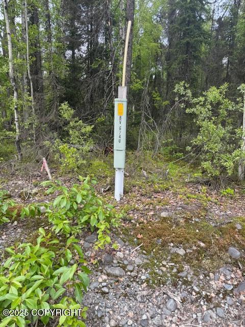 16525 E Nichols Drive, Talkeetna, Alaska image 4