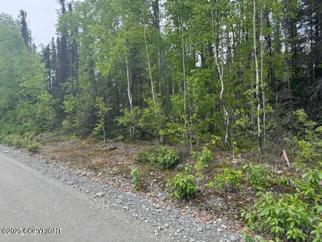 16525 E Nichols Drive, Talkeetna, Alaska image 3
