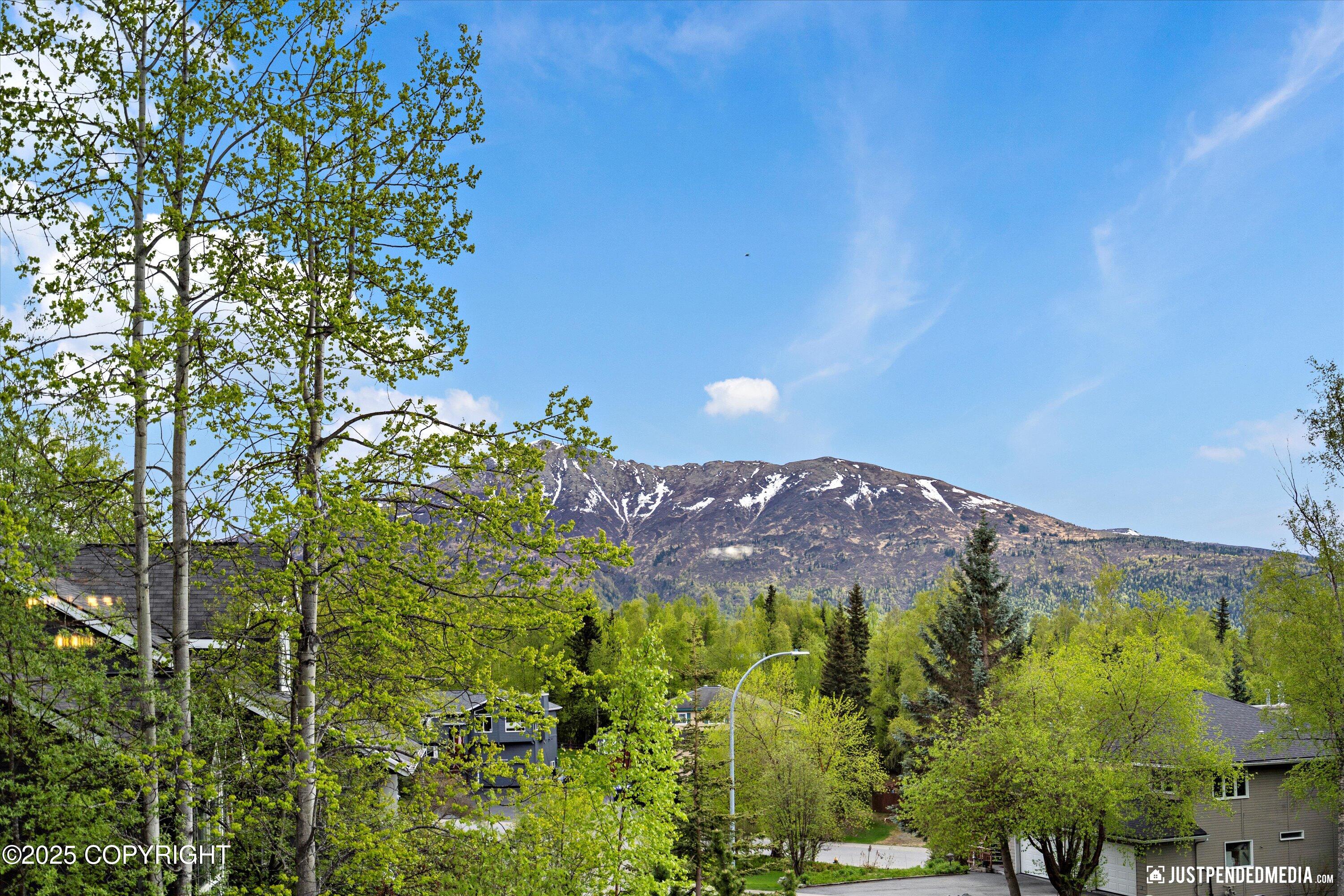 10931 Adanak Circle, Eagle River, Alaska image 9