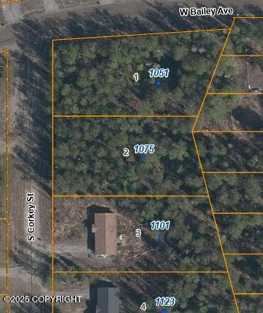 1075 S Corkey Street, Wasilla, Alaska image 1