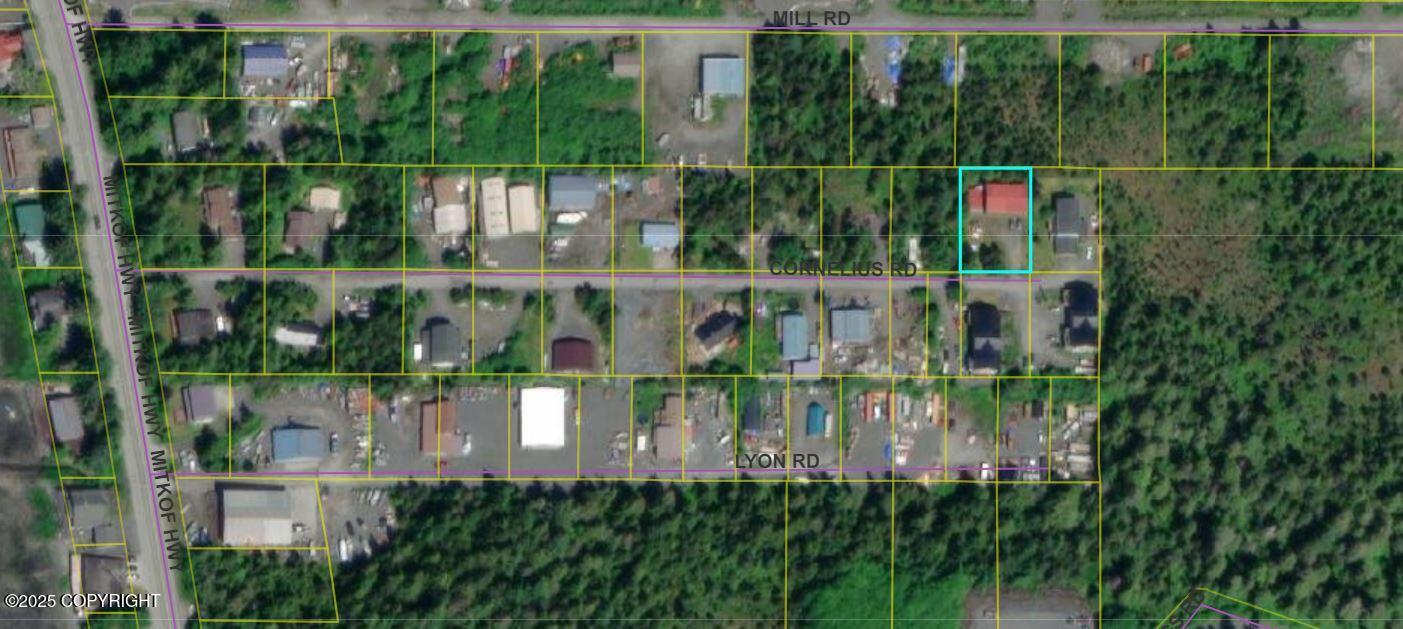 123 Cornelius Road, Petersburg, Alaska image 41