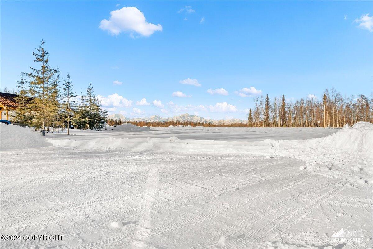 6080 E Petersville Road, Trapper Creek, Alaska image 38