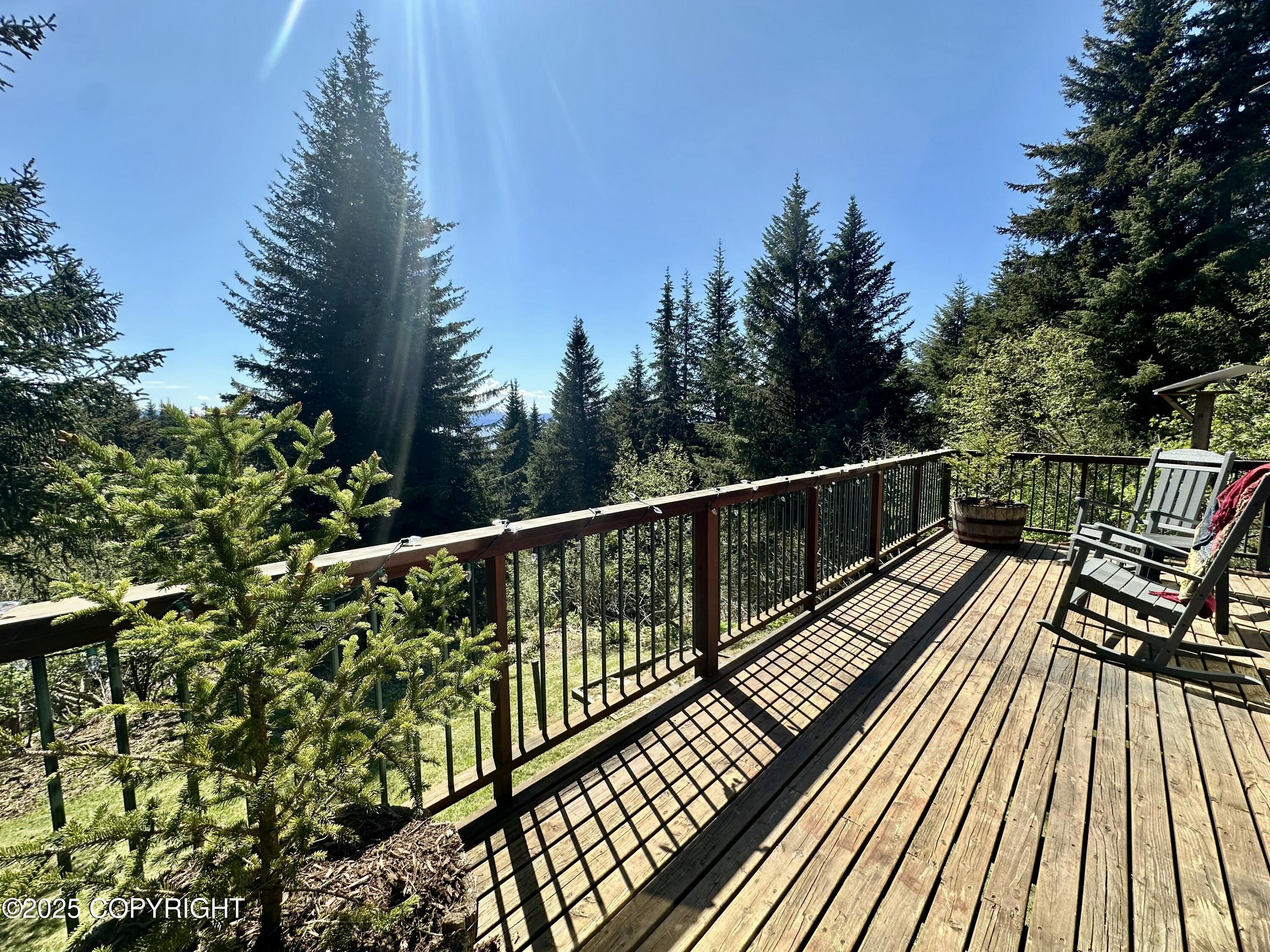 1581 Jade Drive, Homer, Alaska image 31