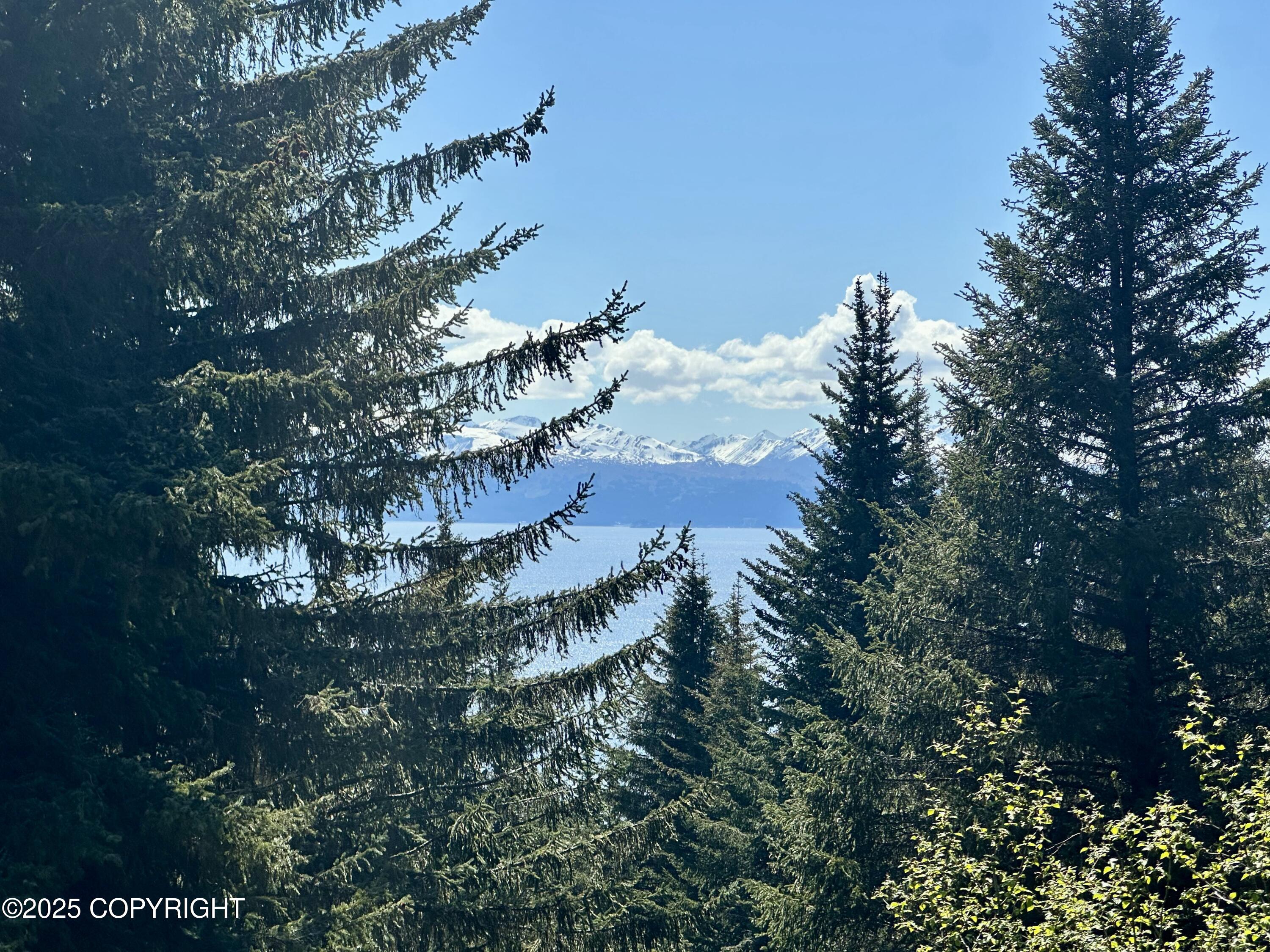 1581 Jade Drive, Homer, Alaska image 3