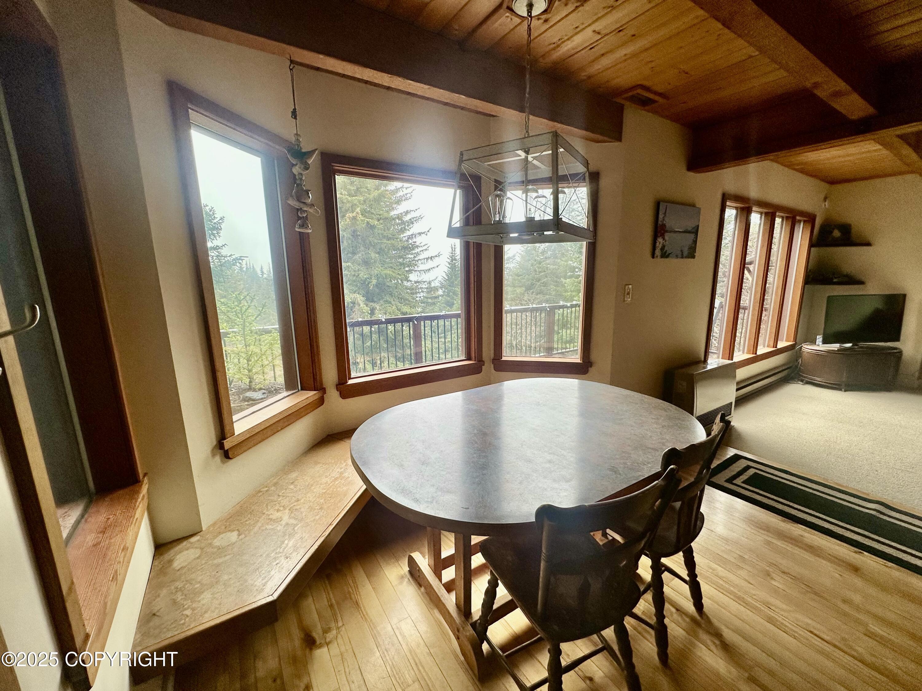 1581 Jade Drive, Homer, Alaska image 6