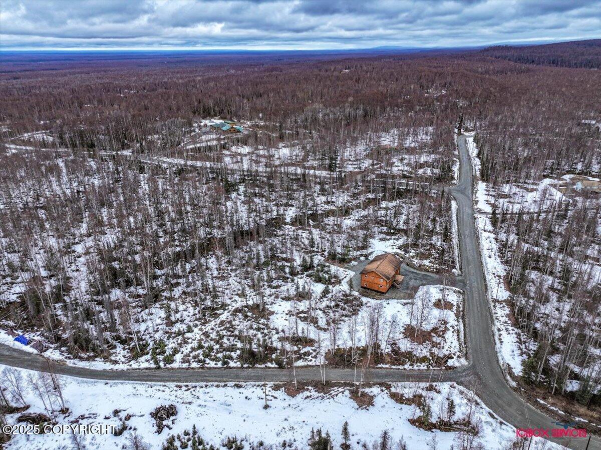 49424 S Goshen Hills Road, Willow, Alaska image 38