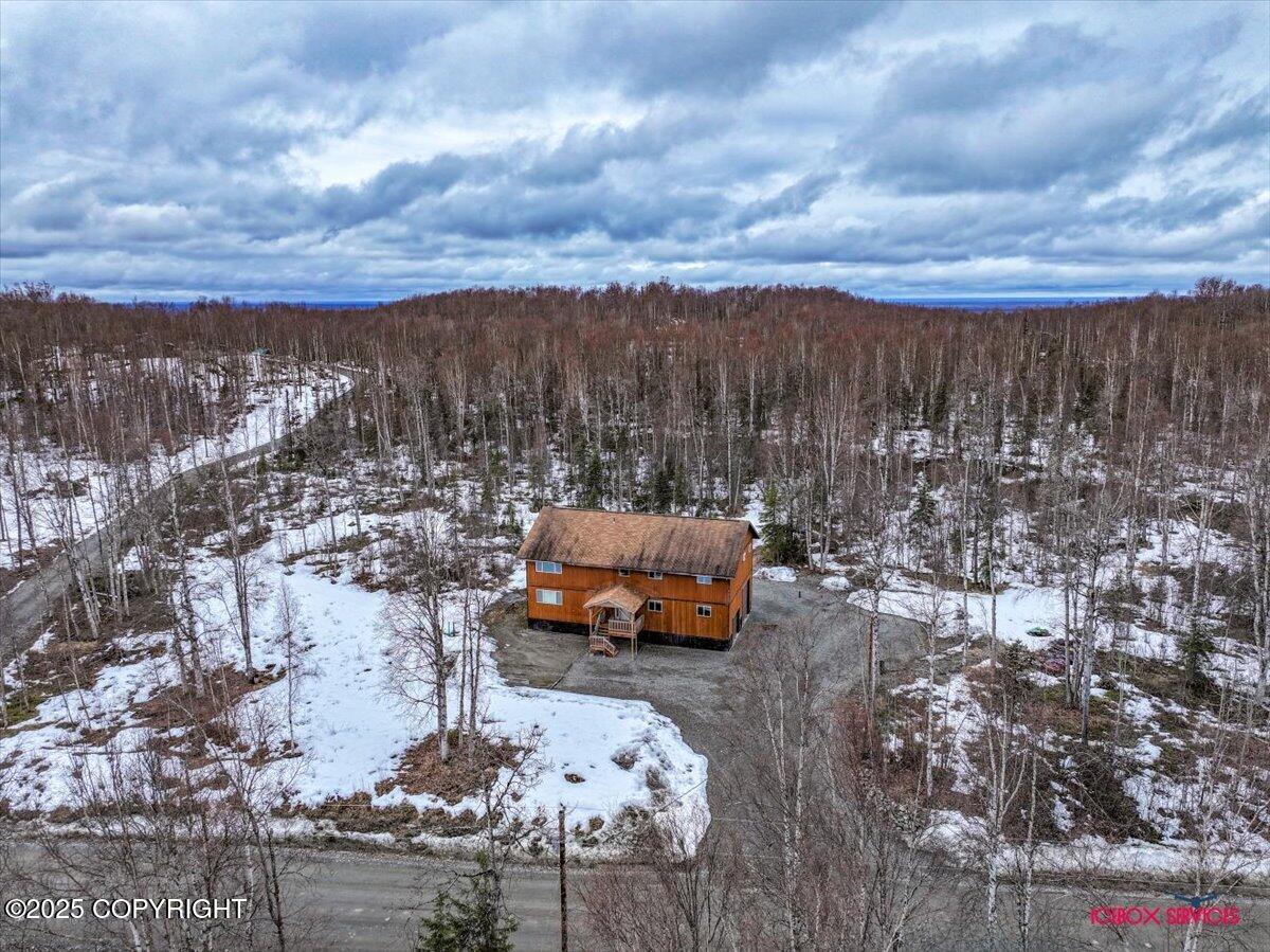 49424 S Goshen Hills Road, Willow, Alaska image 36