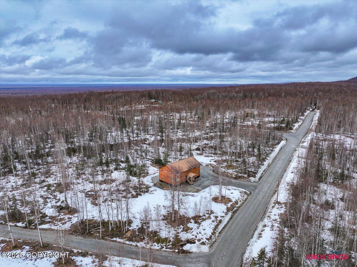 49424 S Goshen Hills Road, Willow, Alaska image 37
