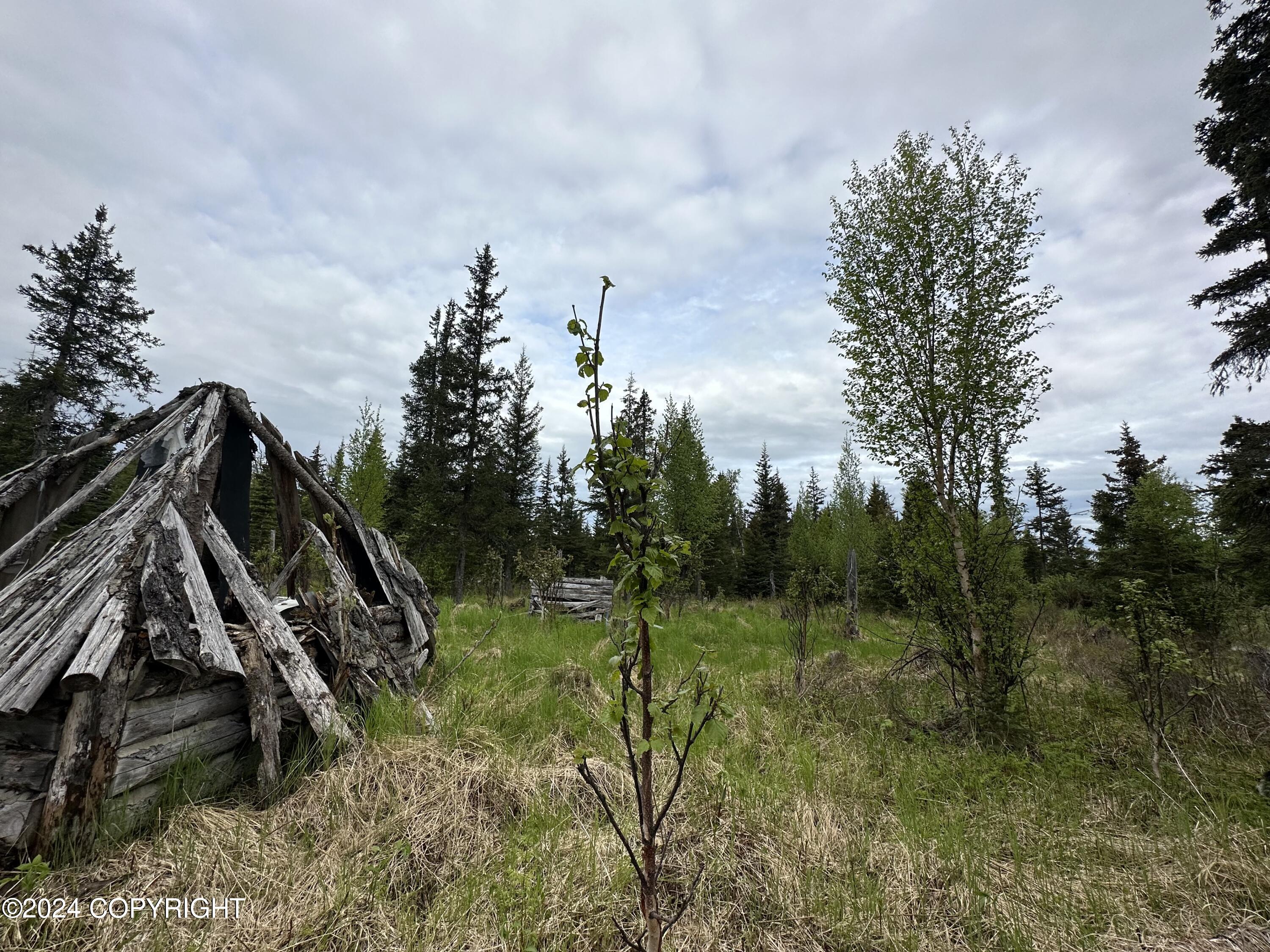 L4 N Brillo Road, Anchor Point, Alaska image 5