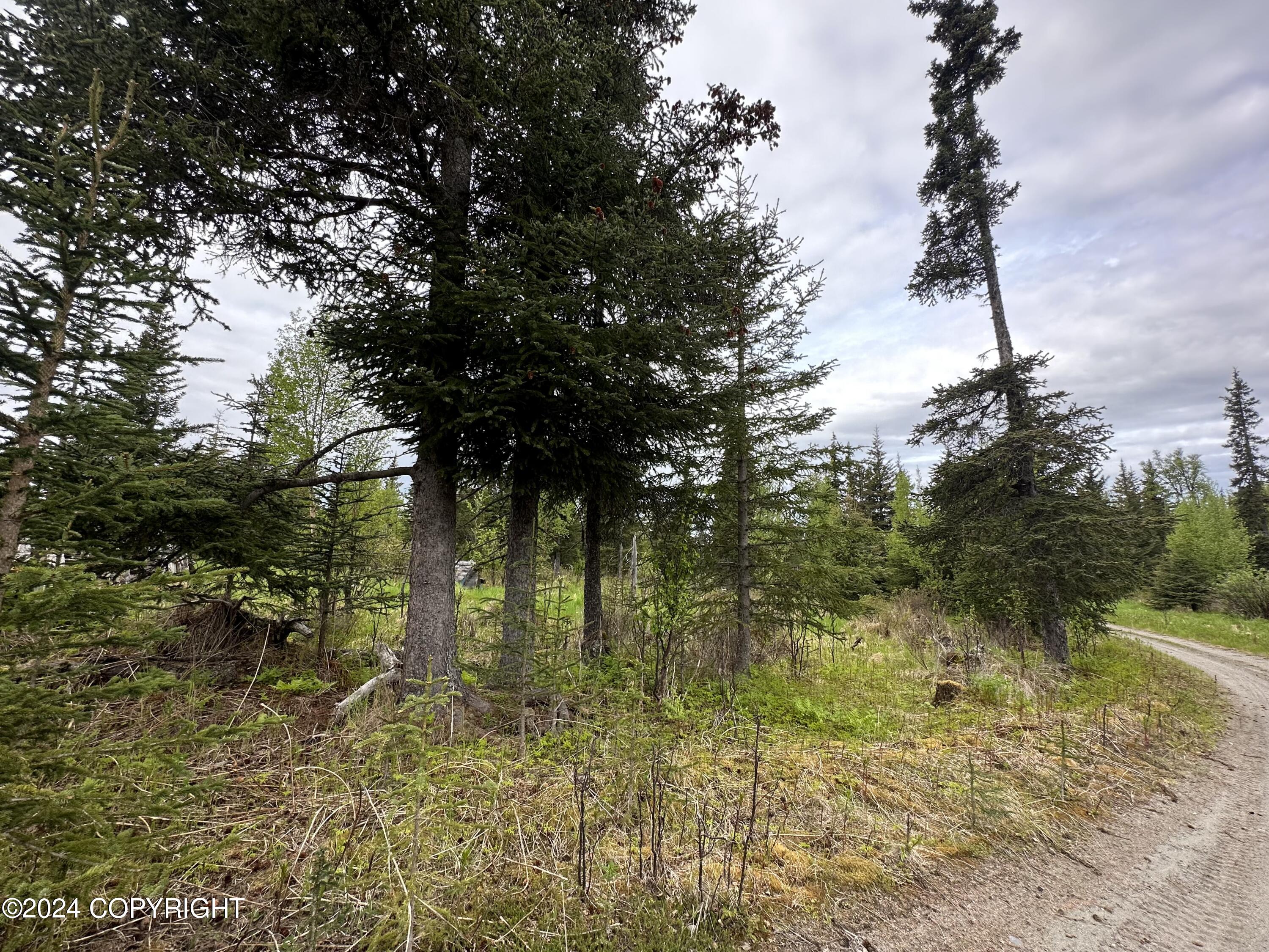 L4 N Brillo Road, Anchor Point, Alaska image 3