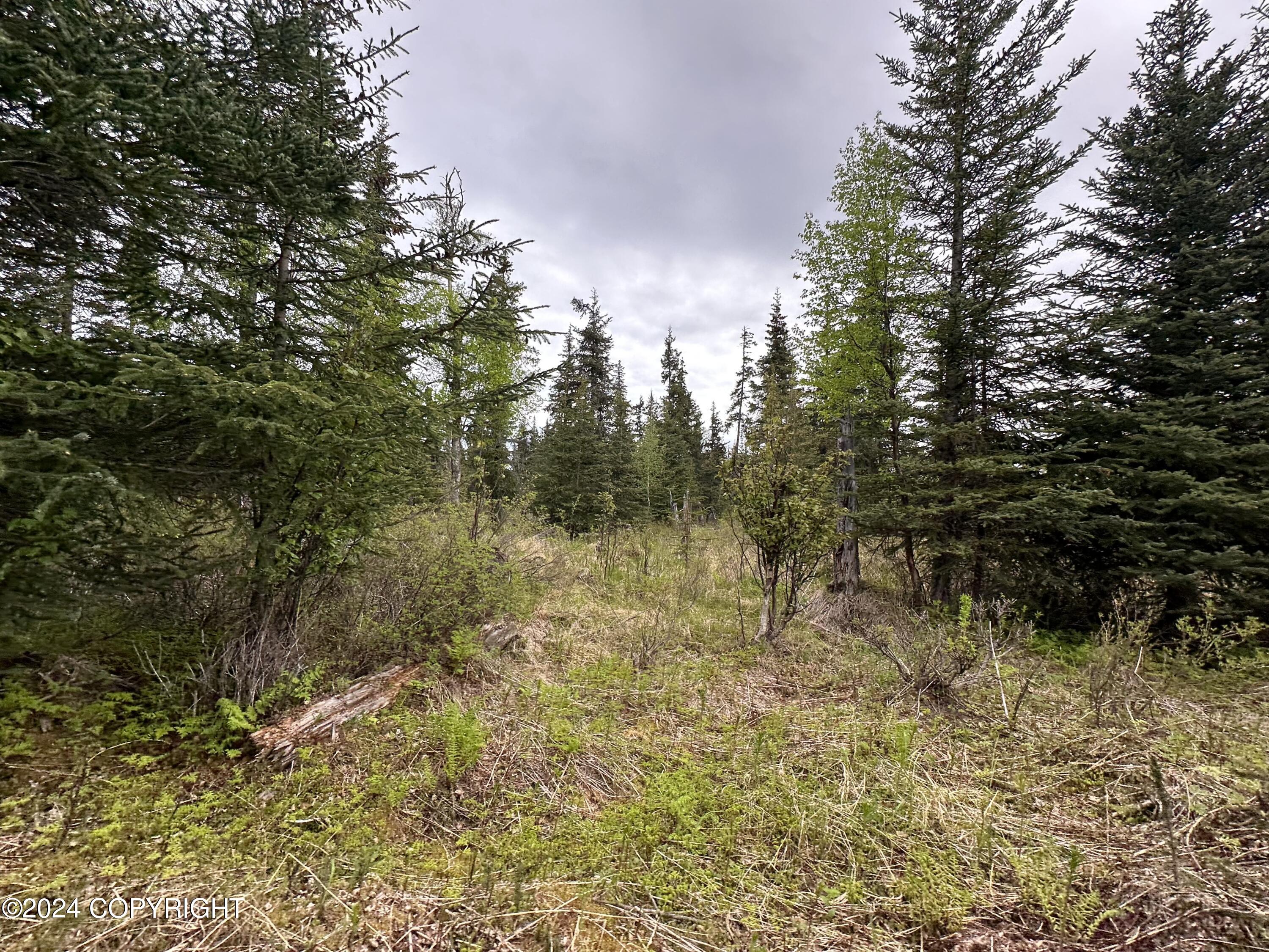 L4 N Brillo Road, Anchor Point, Alaska image 1