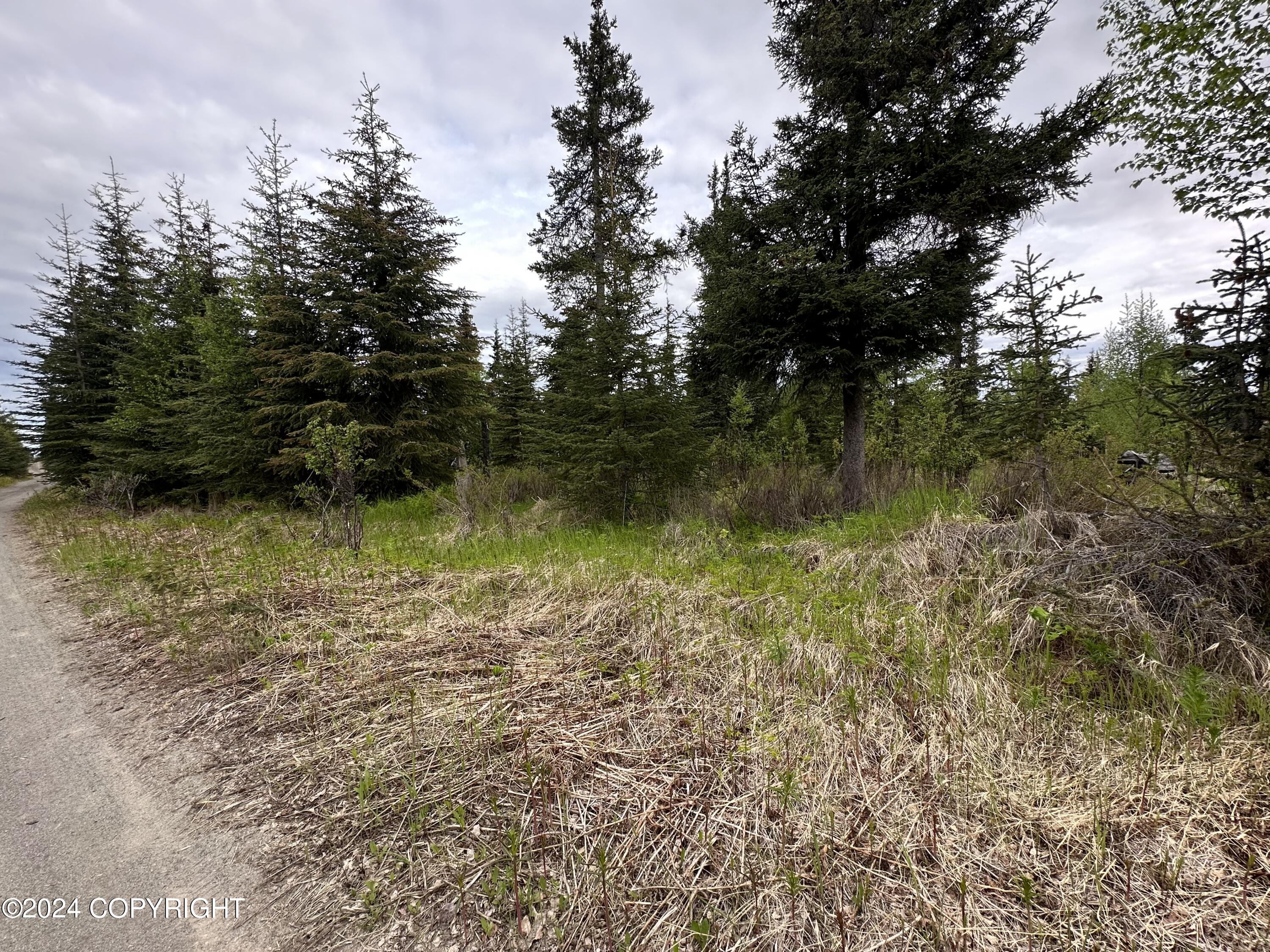 L4 N Brillo Road, Anchor Point, Alaska image 11