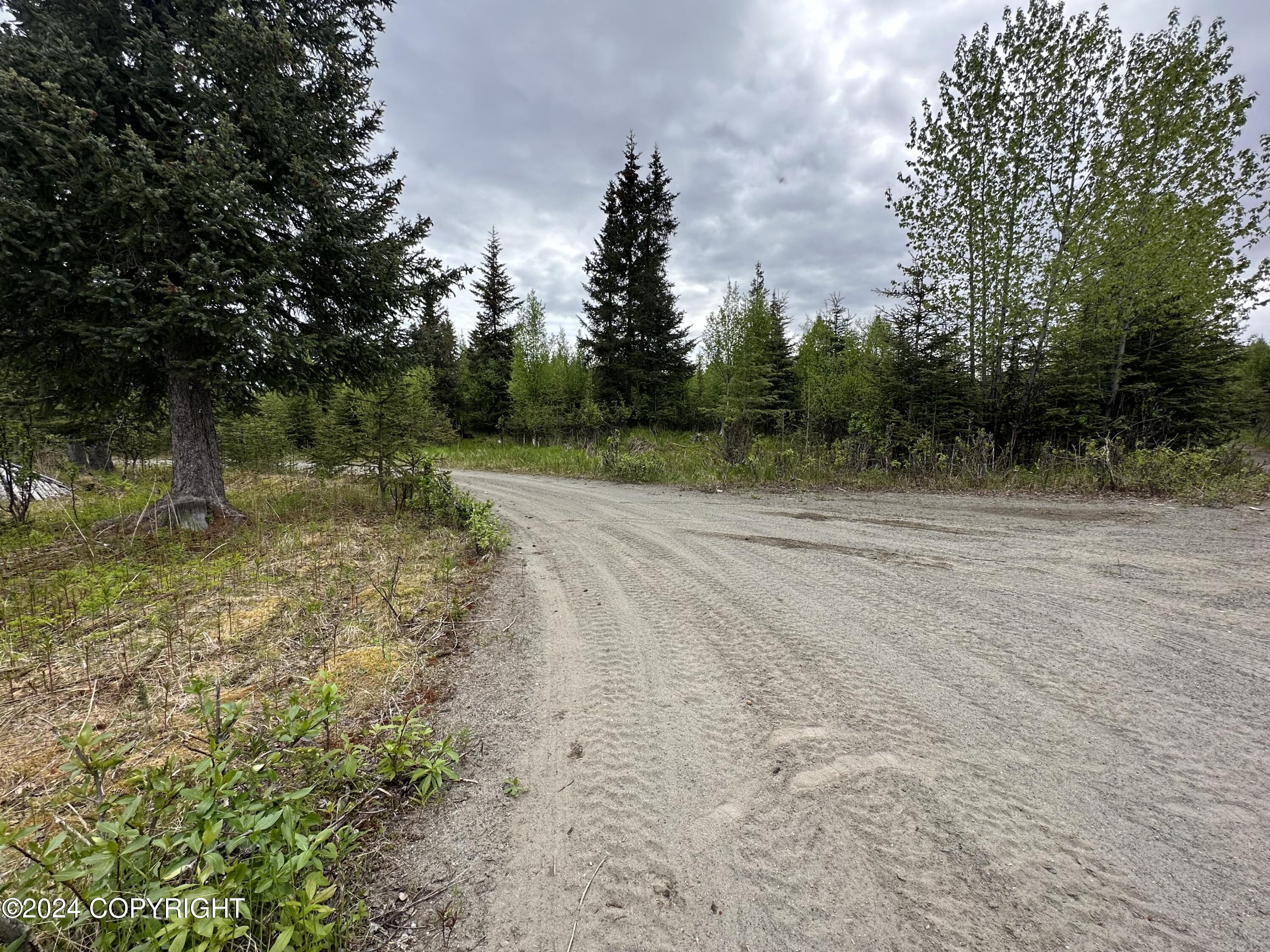L4 N Brillo Road, Anchor Point, Alaska image 10