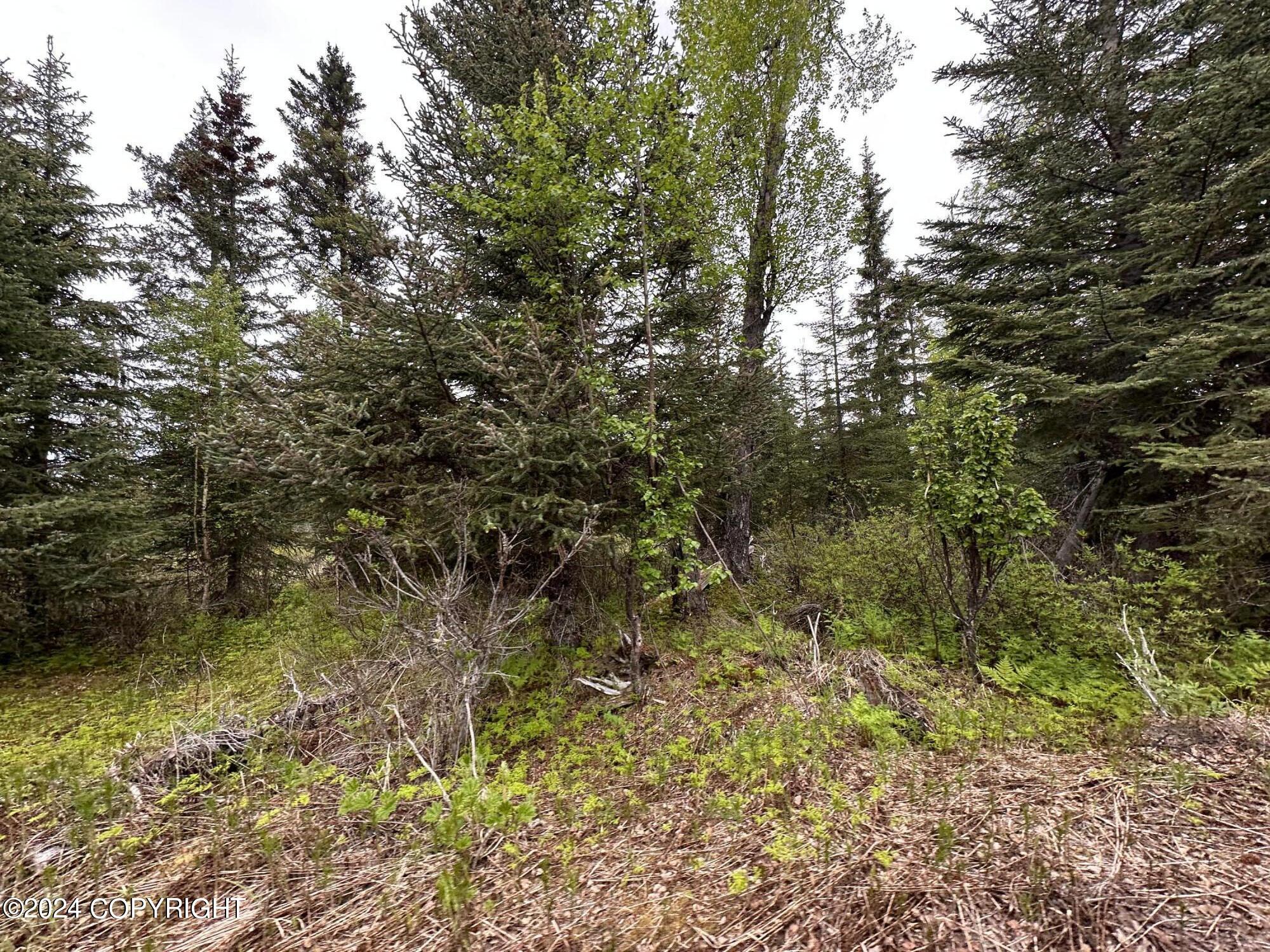 L4 N Brillo Road, Anchor Point, Alaska image 13