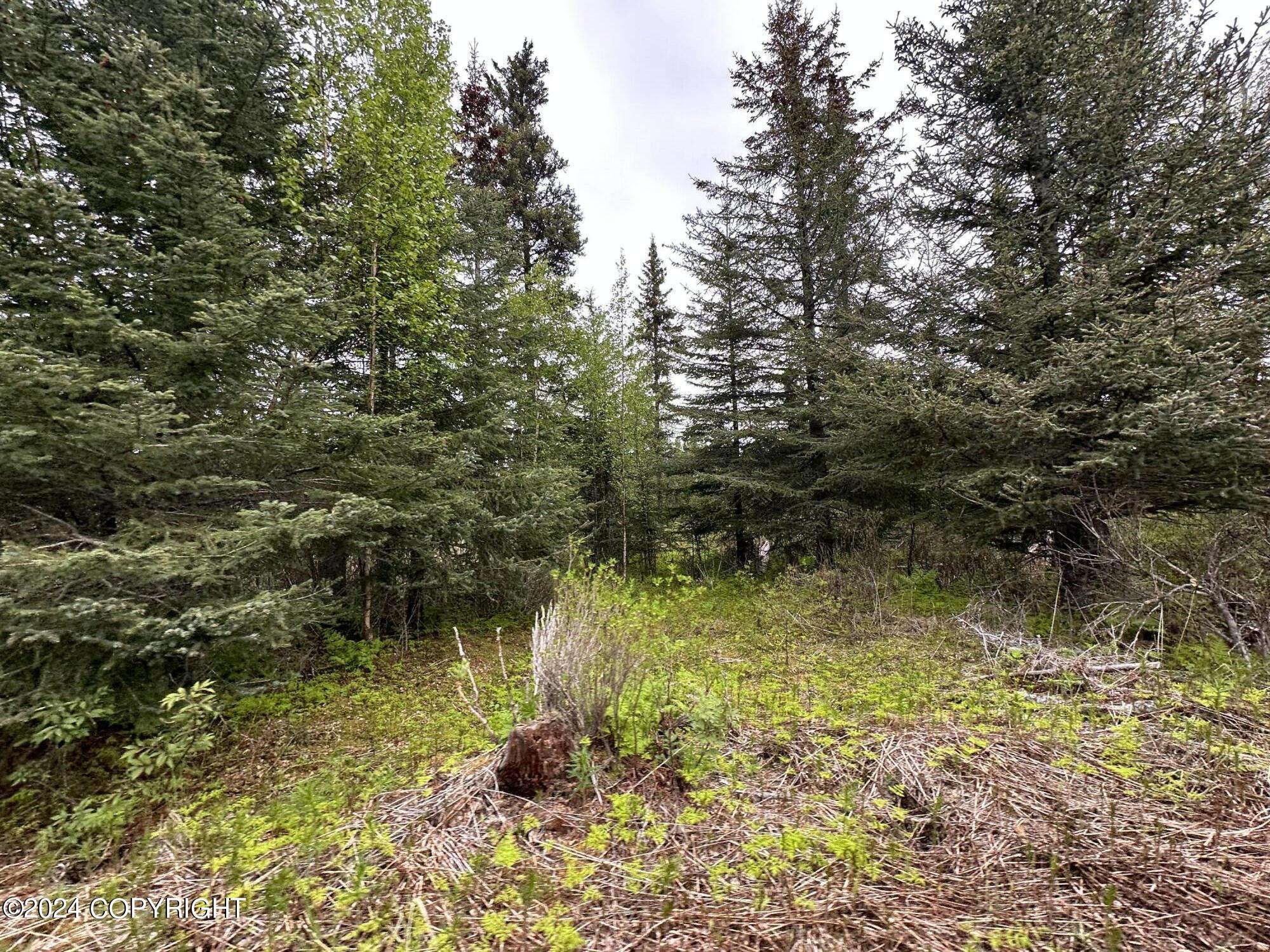L4 N Brillo Road, Anchor Point, Alaska image 14