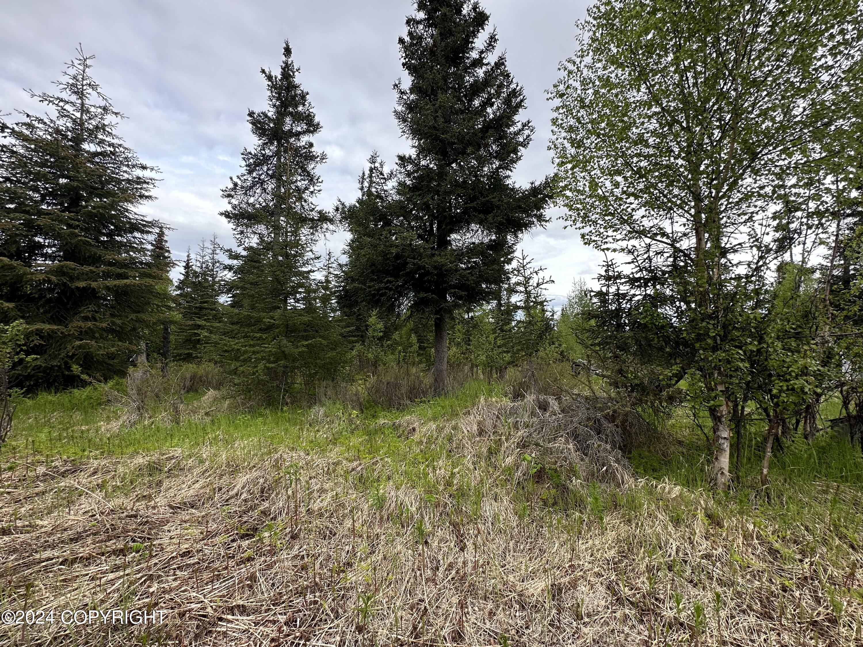 L4 N Brillo Road, Anchor Point, Alaska image 16
