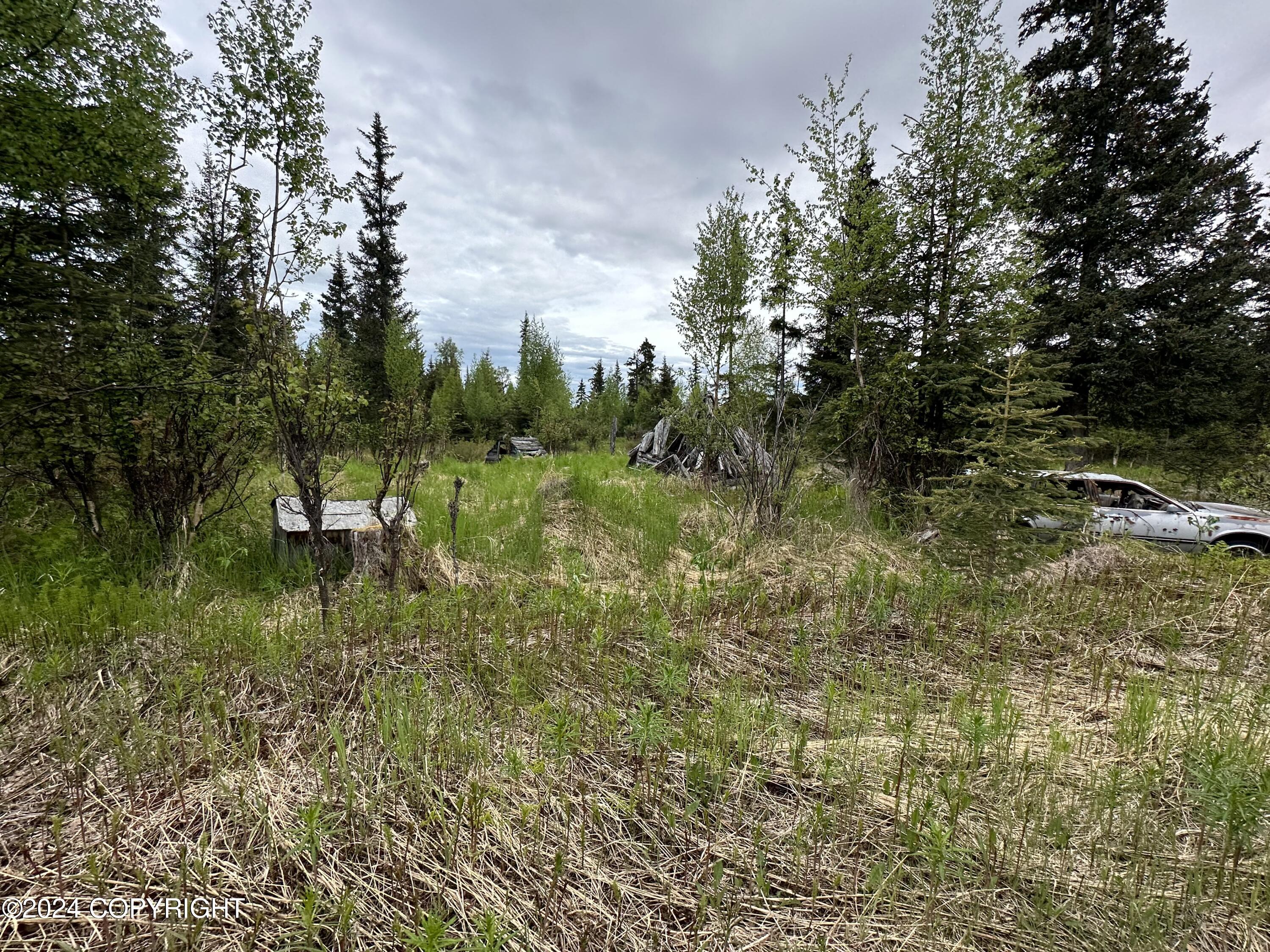 L4 N Brillo Road, Anchor Point, Alaska image 8