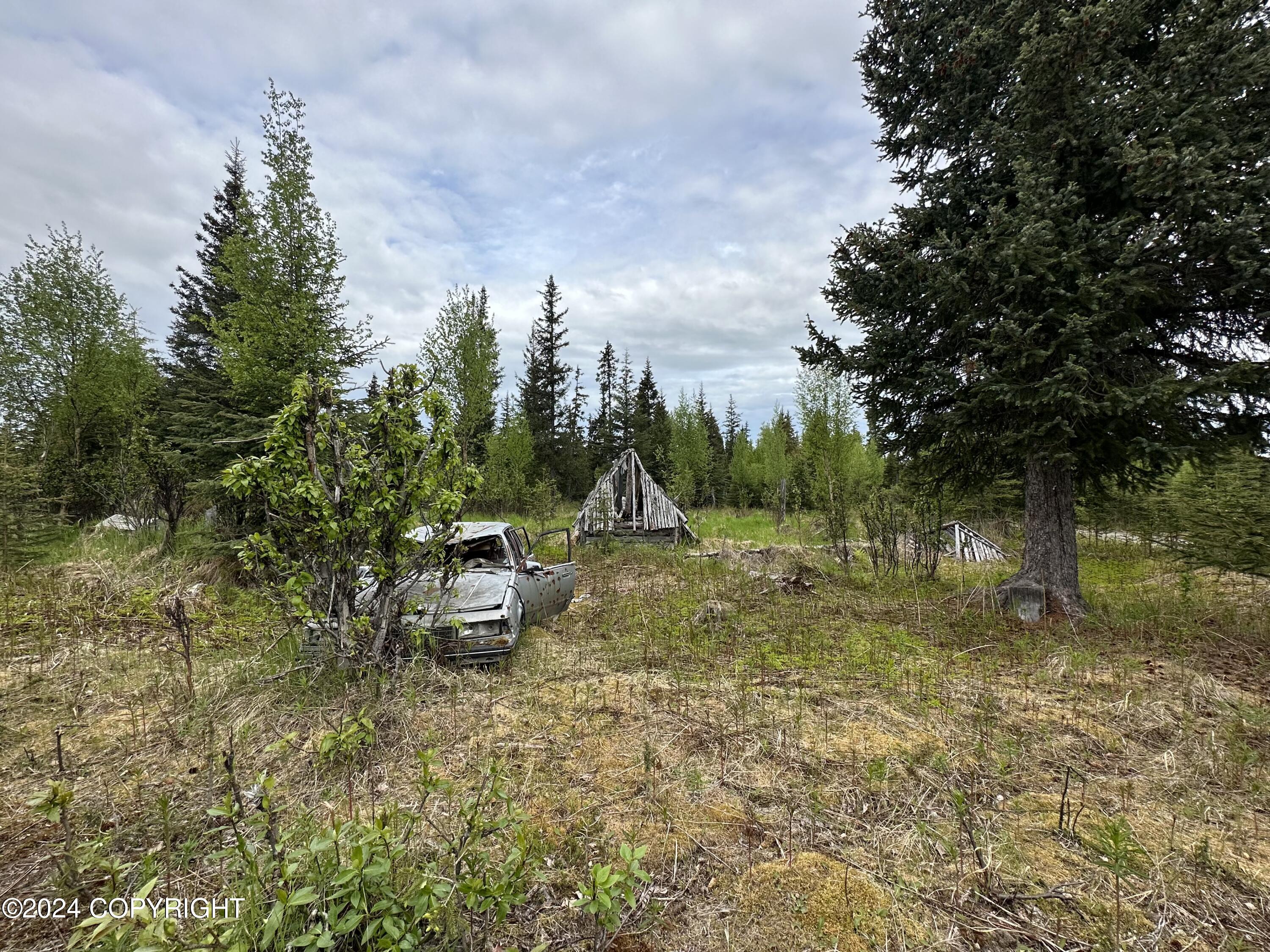 L4 N Brillo Road, Anchor Point, Alaska image 4
