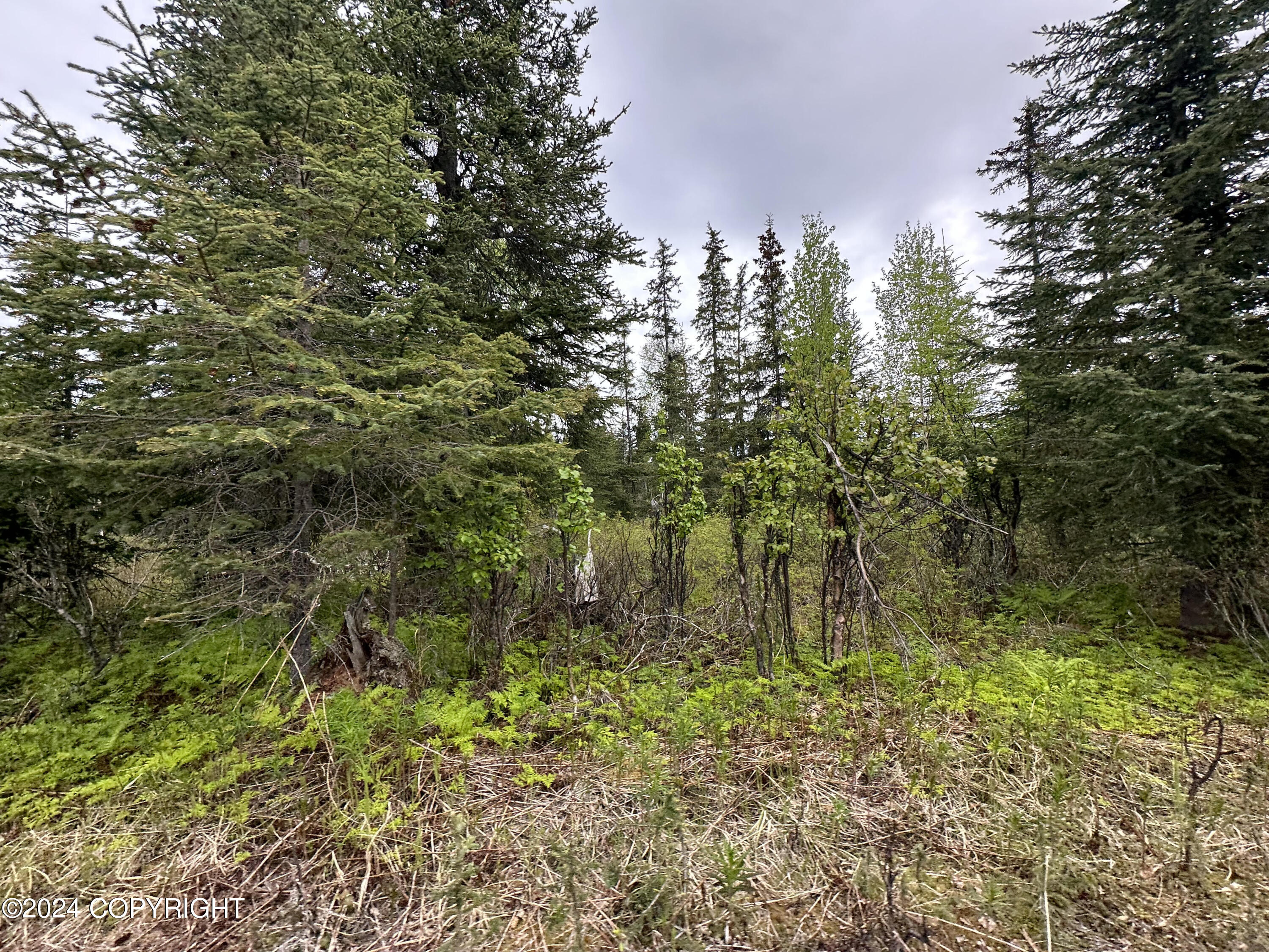 L4 N Brillo Road, Anchor Point, Alaska image 12