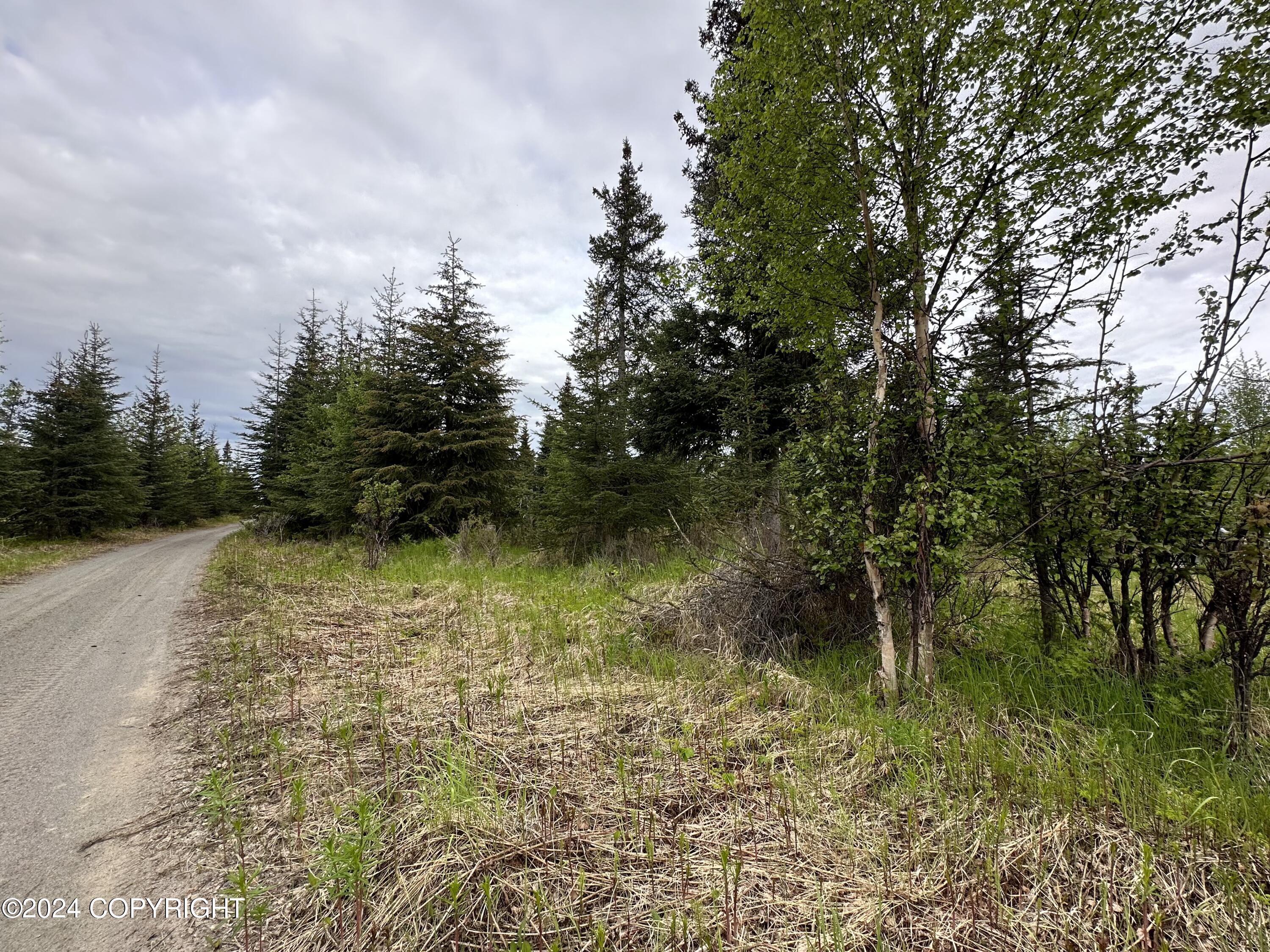 L4 N Brillo Road, Anchor Point, Alaska image 2