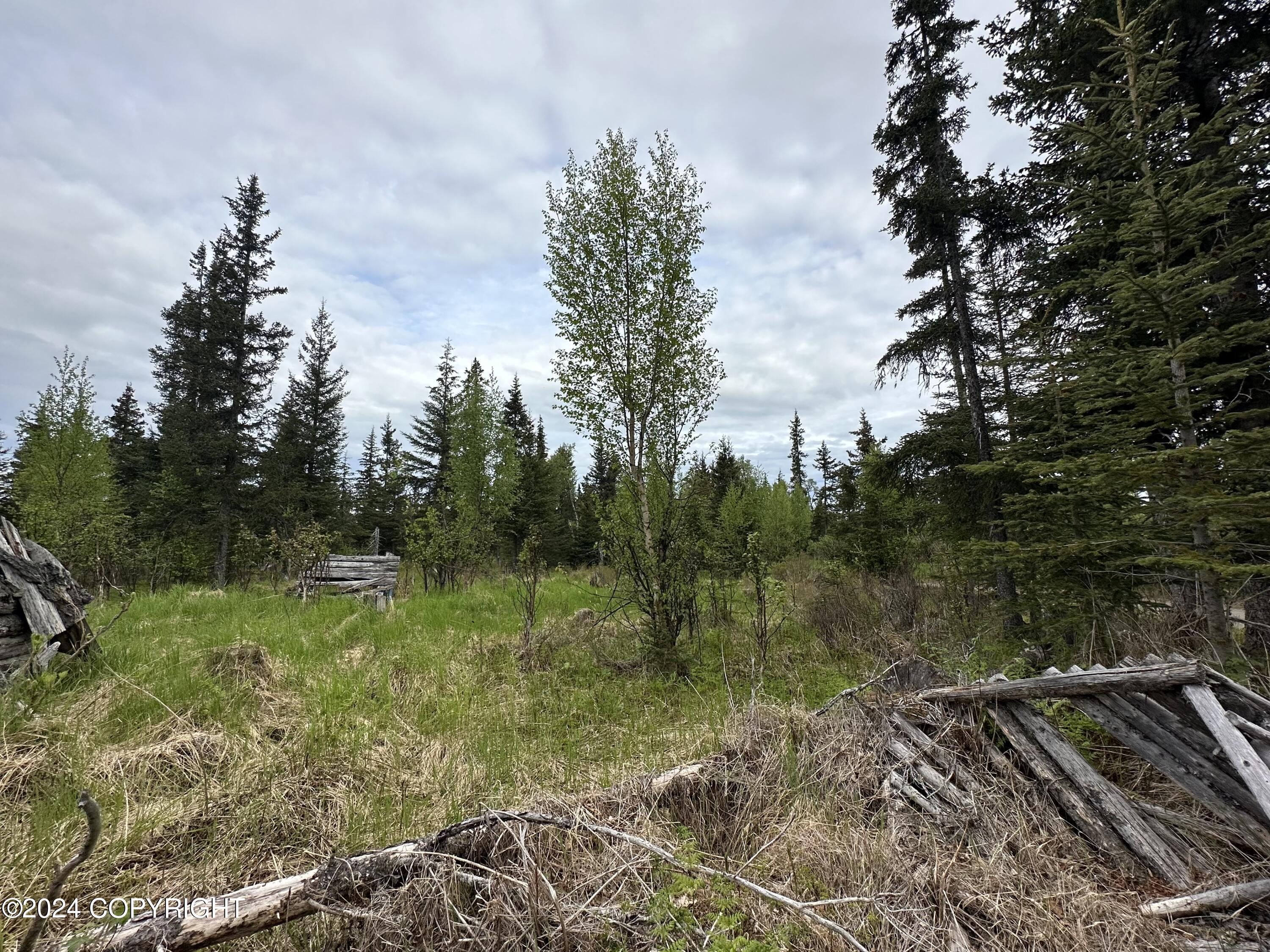 L4 N Brillo Road, Anchor Point, Alaska image 9