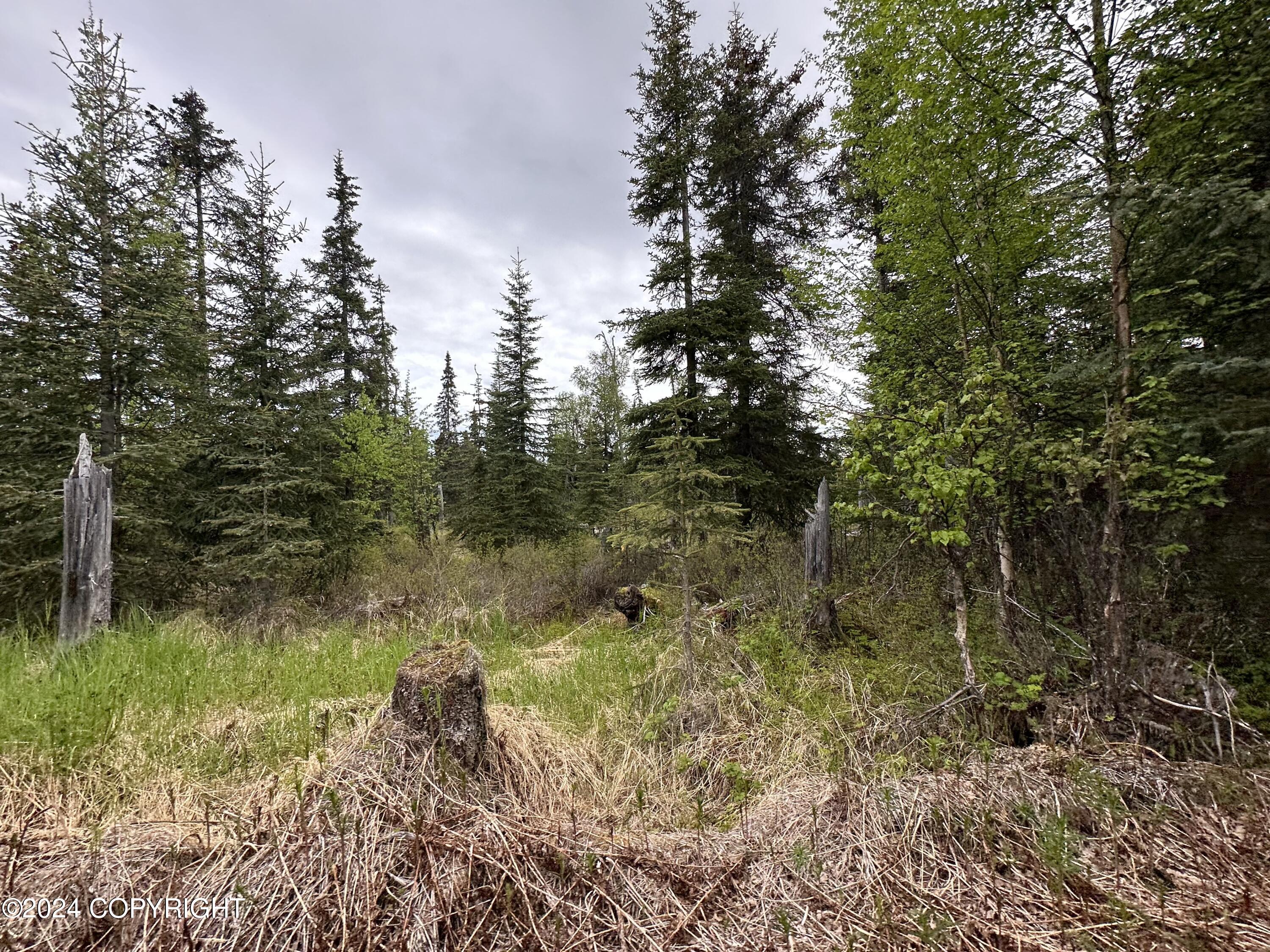 L4 N Brillo Road, Anchor Point, Alaska image 15