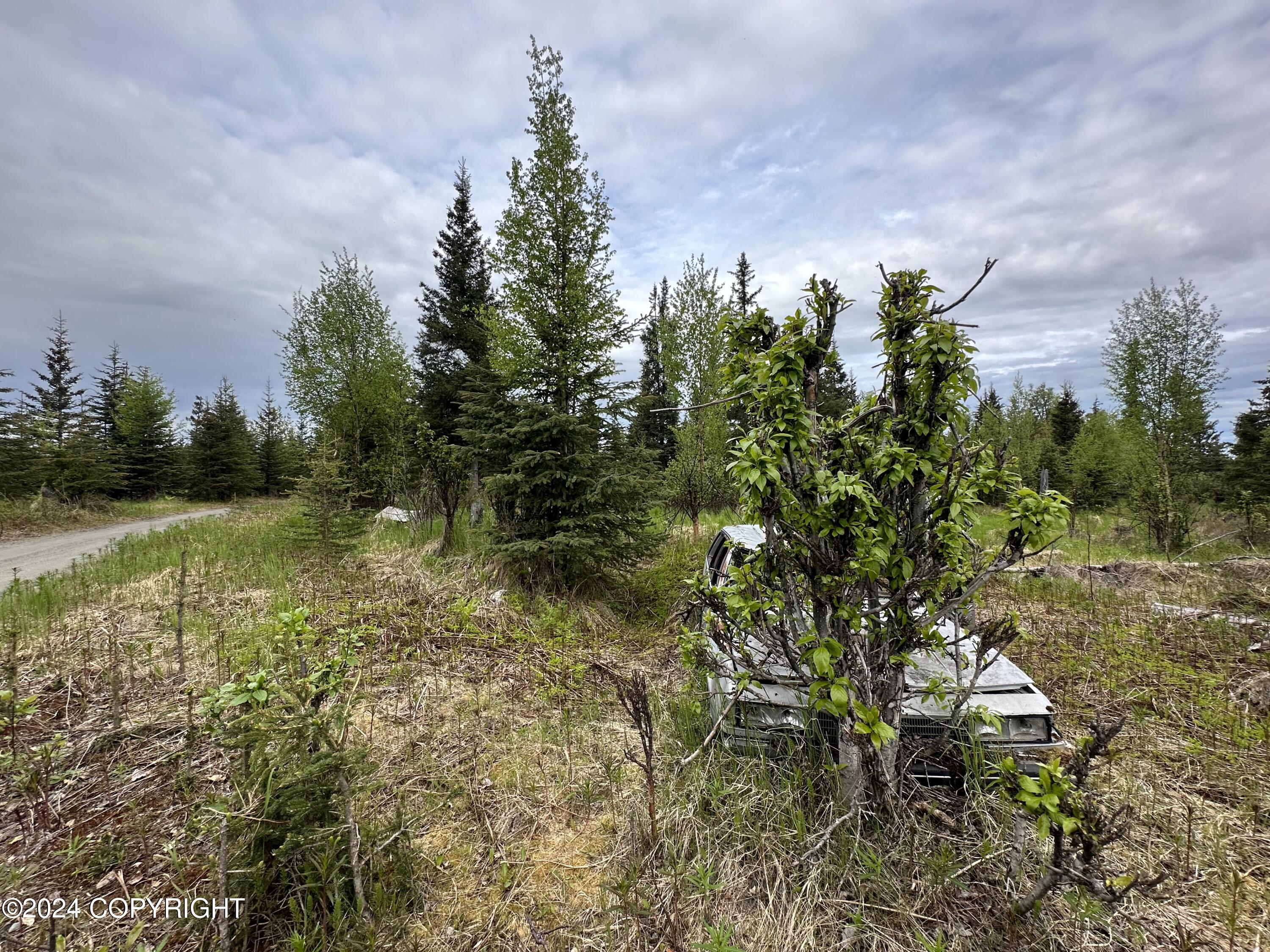 L4 N Brillo Road, Anchor Point, Alaska image 7