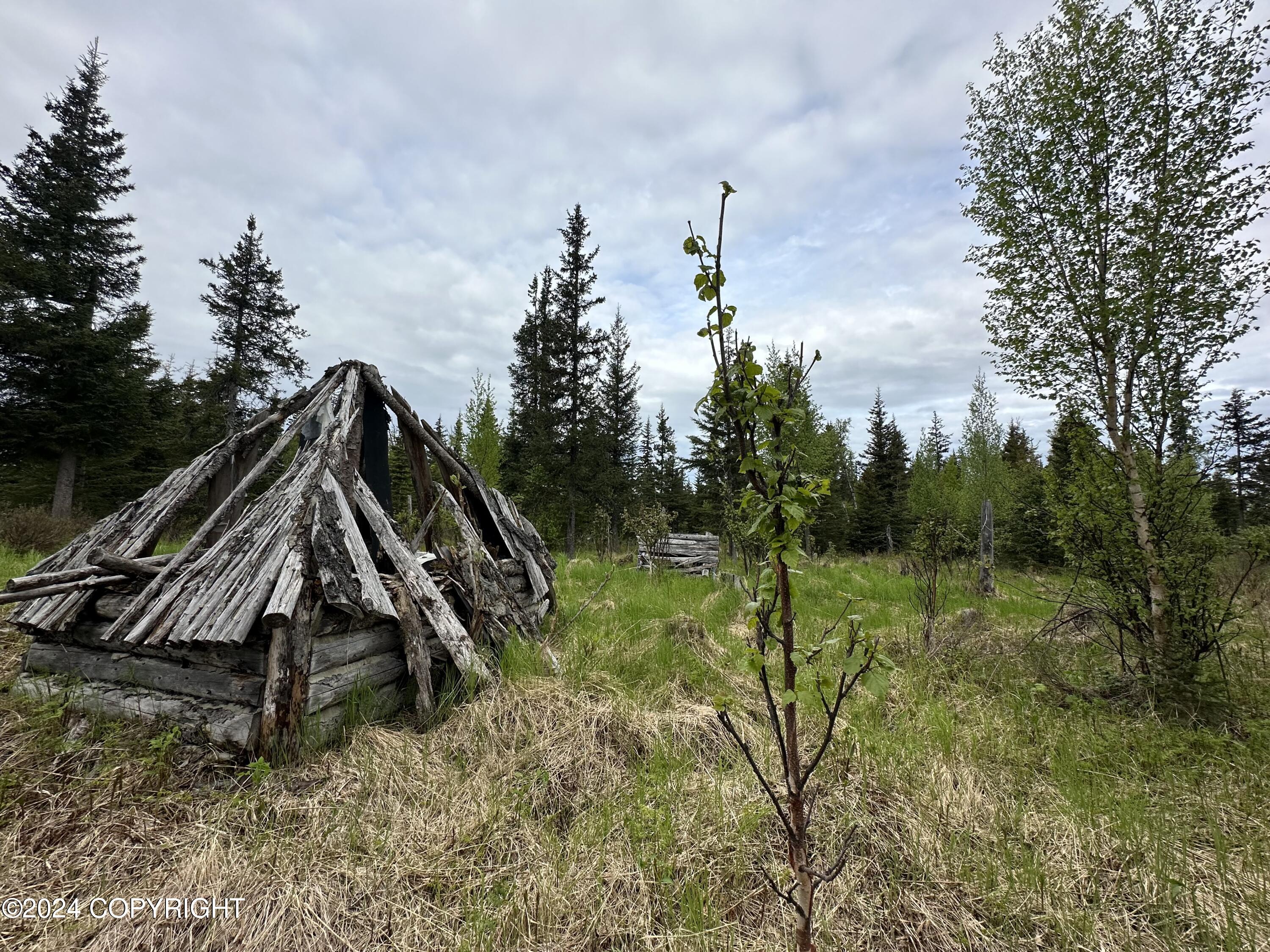 L4 N Brillo Road, Anchor Point, Alaska image 6