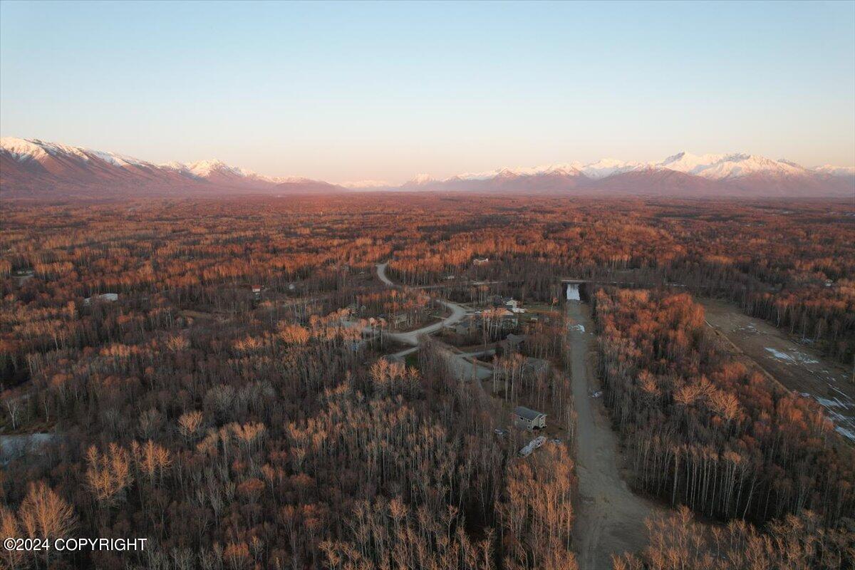 4154 E Harman Loop, Wasilla, Alaska image 1