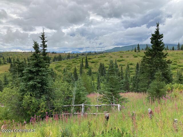 17775 SW Caribou Hills Rem, Ninilchik, Alaska image 14