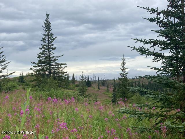 17775 SW Caribou Hills Rem, Ninilchik, Alaska image 16