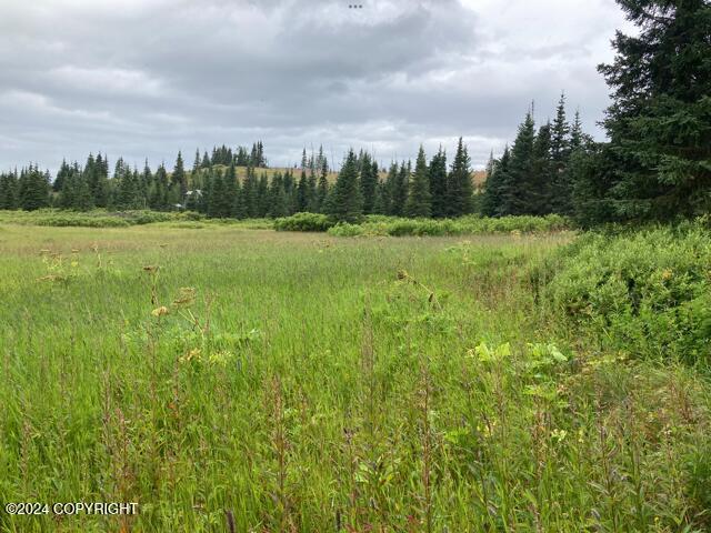 17775 SW Caribou Hills Rem, Ninilchik, Alaska image 32